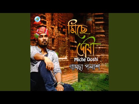 Miche Doshi