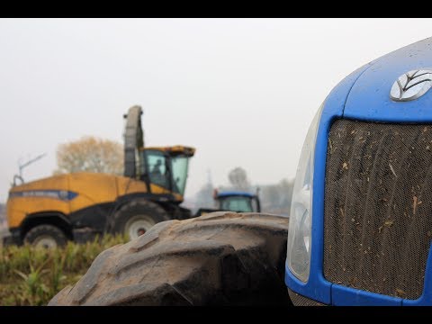 Trinciato Sorgo 2017 / New Holland fr 850 / Dominoni mpd 611