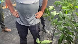 제주체리농가 다섯번째