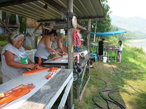 download lagu mp3 mp4 Canning Smoked Salmon Strips, download lagu Canning Smoked Salmon Strips gratis, unduh video klip Canning Smoked Salmon Strips