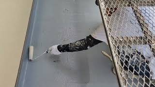 動画サムネイル