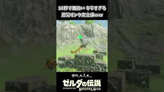 【ブレワイ】完全体になった厄災リンク【ゼルダの伝説 ブレス オブ ザ ワイルド】