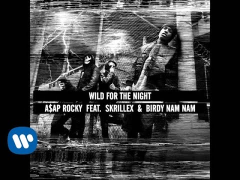 Wild For The Night - A$AP Rocky feat. Skrillex and Birdy Nam Nam