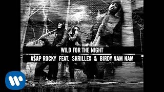 Wild For The Night - A$AP Rocky feat. Skrillex and Birdy Nam Nam