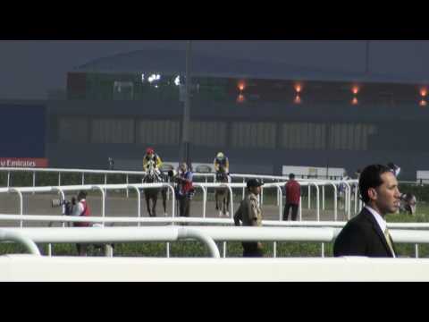 GALOPPSPELAREN - Meydan Racecourse 2010-03-27 UAE Derby, Timely Jazz canter to start.