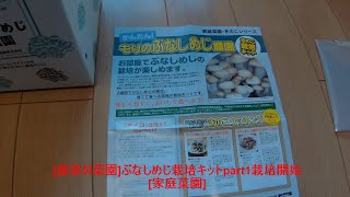 [農家の菜園]20/12/13　ぶなしめじ栽培キット 栽培開始　[家庭菜園]