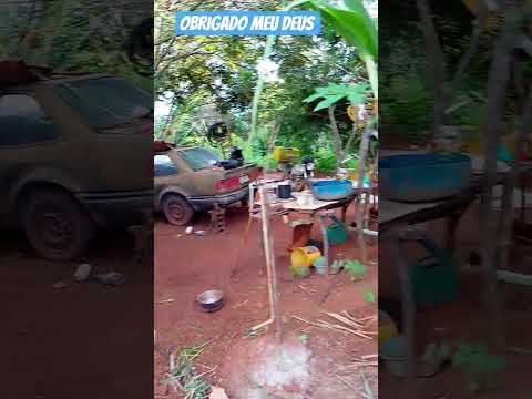 #vidanaroça #caminhoparaumavidamelhor chácara estrela do oriente jaborandi Bahia