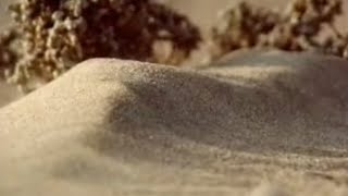 How to Make a Sand Dune | Dune | BBC Studios