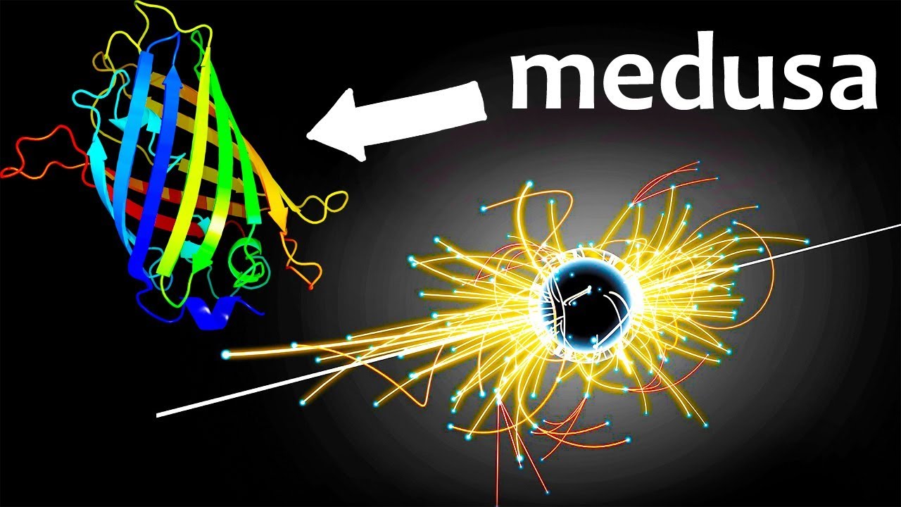 Entrelazamiento cuántico a partir de sistemas vivos | Noticias 11/12/2017