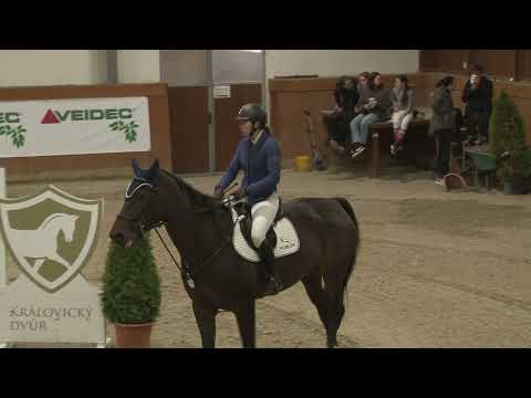 Soutěž 8 - ST*: Zimní jezdecký pohár Královice, 6. 11. 2021