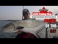Prince Of The Bay Garrick In Richards Bay Harbour KZN ASFN Fishing Vlog