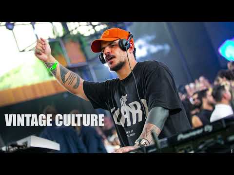 Vintage Culture 2025 || Só as Brabas - Best tracks & Remixes