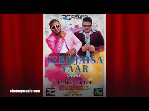 Neeshad Sultan - Tere Jaisa Yaar