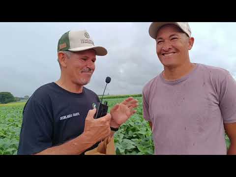 Entrevista com o vereador Josué. em São João D'aliança Goiás 