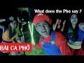 What does the Pho say/The Fox Vietnamese Parody ...