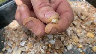 Mining Gold: Extraction Method to Free Gold! Crushing Quartz Rocks at Home!