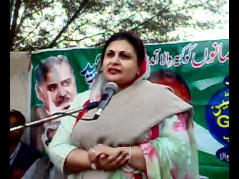 dr khawar ali shah jalsa tehmeena doltana mola pur kabirwala1