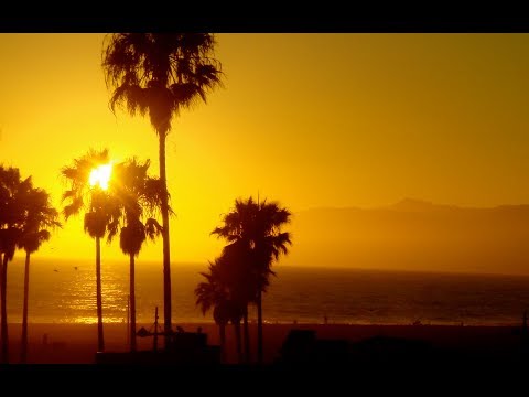 Alex Byrka - Shoreline [Official Video]