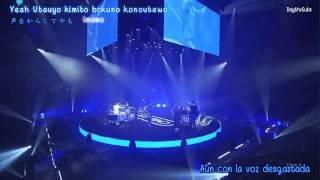 CNBLUE   Radio  (Sub español )