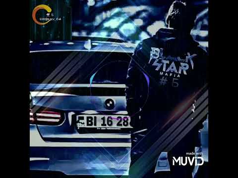 SYKE DALI (MVP) TEKERLER ULY