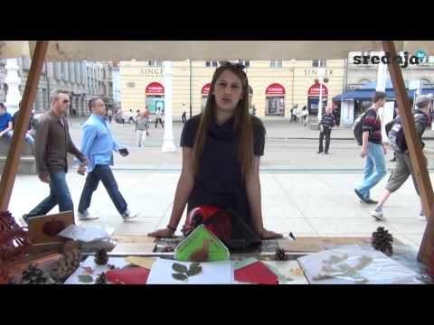 Predstavljanje srednjih škola - DRVODJELJSKA ŠKOLA - srednja.hr