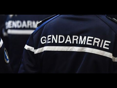 Fraude sociale : nombre record d'affaires pour les gendarmes depuis le Covid-19