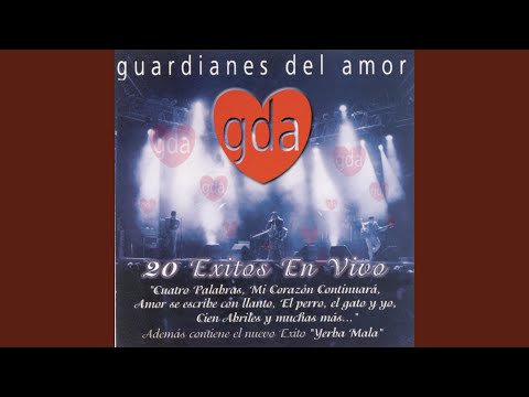 El Perro, El Gato Y Yo