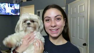 storytime: I lost my dog. And how I found him