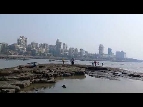 WhatsApp Video 2022 05 10 at 12 08 29 PM 1