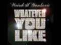 "Weird Al" Yankovic - Whatever You Like 