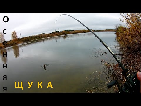 Ловля ЩУКИ на спиннинг. Осенний джиг. Береговая рыбалка 2020