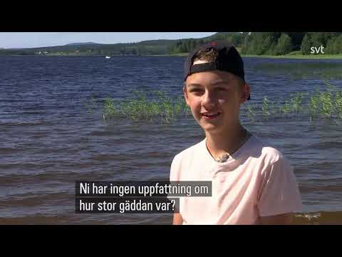 Lokala Nyheter Norrbotten   Mathias blev gäddbiten   kändes som en vass kedja runt foten  I klippet