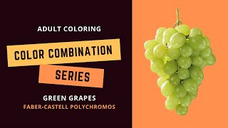 COLOR COMBINATION SERIES: GREEN GRAPES - Faber-Castell polychromos - Adult coloring