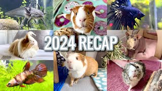 2024 RECAP