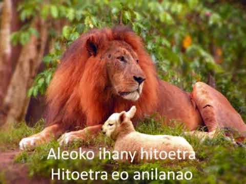 Jocelyn Ranjarison - Aleoko ihany