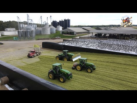 Chopping Corn Silage, Milking Cows & Hauling Manure at Martig Farms