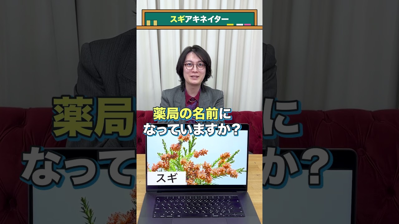【スギ】【花粉症】【つらい】【🤧】アキネイター #QuizKnockと学ぼう #Shorts