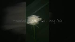 Download lagu Penipu hati lirik #shorts #shortvideo. #lyrics #liriklagu #lyrics_whatsapp_status mp3