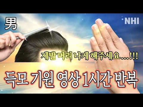 득모 기원 플레이리스트 1시간 반복ㅣ뉴헤어ㅣ남자탈모