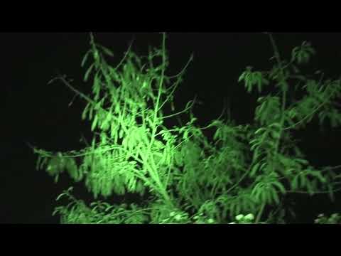 UFO filmed above closed access road  Bremer river Qld