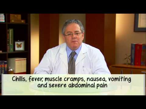 Black Widow Spider Bites: Should I Worry? - Pest Prescriptions