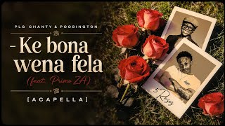 Download lagu PLG Chanty & Poobington,  - Ke bona wena fela (feat. Primo ZA) [Acapella] mp3