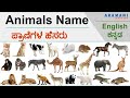 Animals Name With Kannada Meaning - ಪ್ರಾಣಿಗಳ ಹೆಸರು | Learn English