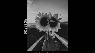 Download lagu Jangan Anggap Mimpi Ini Cuman Angan-Story wa mp3