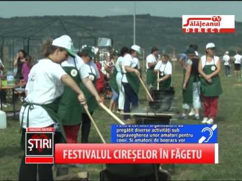 FESTIVALUL CIRESELOR IN FAGETU