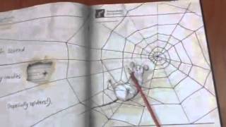 Little Mouse's Big Book of Fears