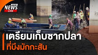 เตรียมเก็บซากปลาลอยตาย ที่บึงมักกะสัน | ไลฟ์วันนี้ | 16 ก.ค. 67