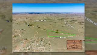 Colt at Old West Ranch