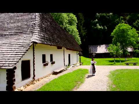 RAMONA FABIAN - AM DRAGUTU` CAT UN GOZ