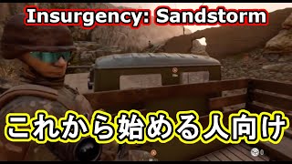 これから始める人向け【Insurgency: Sandstorm】実況 #3